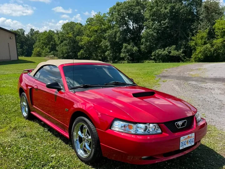 Red Ford Mustang after an inside-and-out detail