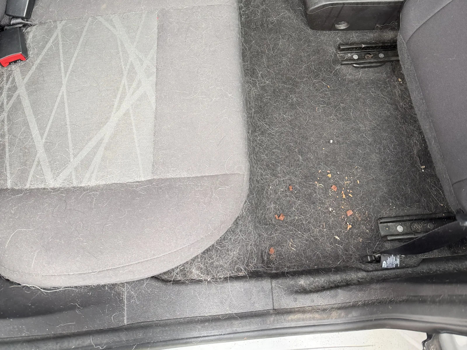 Ford back seat and rear floor before interior detailing, with loose hair and debris visible.